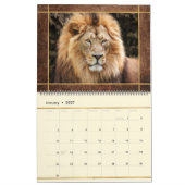 Beauful Lions Photo Afbeelding Calendar Kalender (Jan 2027)