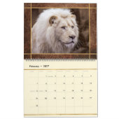 Beauful Lions Photo Afbeelding Calendar Kalender (Feb 2027)