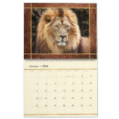 Beauful Lions Photo Afbeelding Calendar Kalender (Jan 2026)