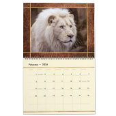 Beauful Lions Photo Afbeelding Calendar Kalender (Feb 2026)
