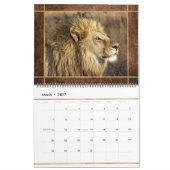 Beauful Lions Photo Afbeelding Calendar Kalender (Mar 2027)