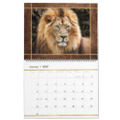 Beauful Lions Photo Afbeelding Calendar Kalender (Jan 2027)