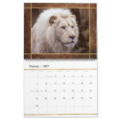 Beauful Lions Photo Afbeelding Calendar Kalender (Feb 2027)