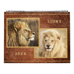 Beauful Lions Photo Afbeelding Calendar Kalender