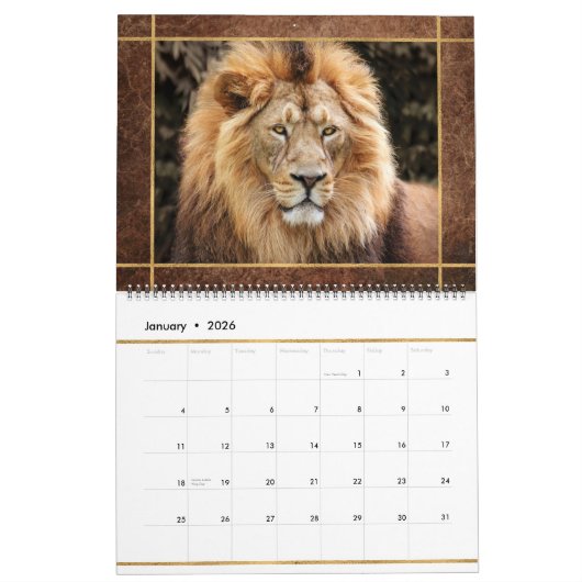 Beauful Lions Photo Afbeelding Calendar Kalender (Jan 2026)