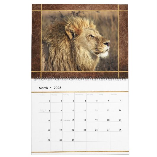 Beauful Lions Photo Afbeelding Calendar Kalender (Mar 2026)