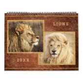 Beauful Lions Photo Afbeelding Calendar Kalender (Hoes)