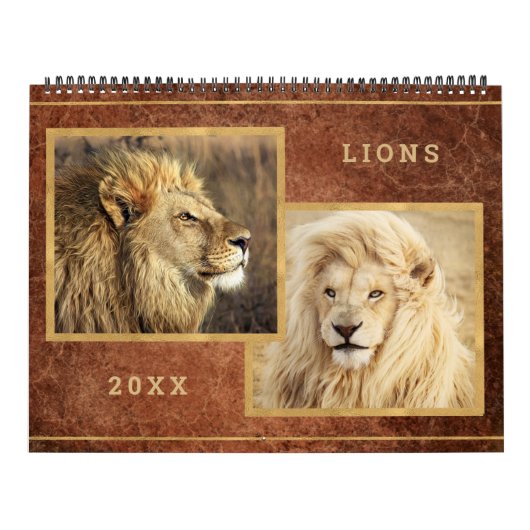 Beauful Lions Photo Afbeelding Calendar Kalender (Hoes)
