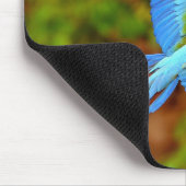 Beauful Macaw Mouse Mat Muismat (Hoek)