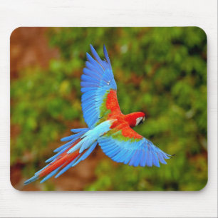 Beauful Macaw Mouse Mat Muismat