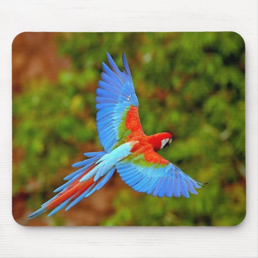 Beauful Macaw Mouse Mat Muismat (Voorkant)