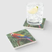 Beauful Macaw Stone Onderzetter (Zijkant)