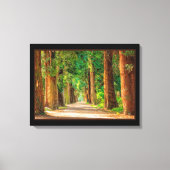 Beauful Magic Spring Forest Canvas Print (Voorkant)