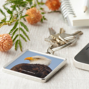Beauful Majestic Bald Eagle in Tree Sleutelhanger