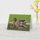 Beauful Mallard Duck Vaderdag Kaart (Gele Bloem)