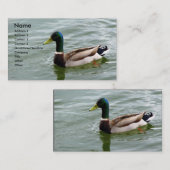 Beauful Mallard Duck Visitekaartje (Voorkant / Achterkant)
