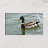 Beauful Mallard Duck Visitekaartje (Achterkant)