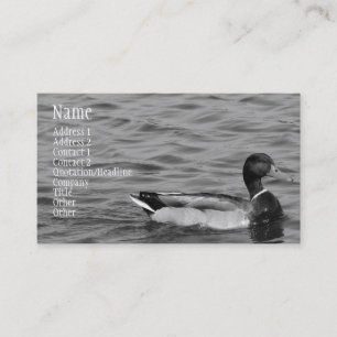 Beauful Mallard Duck Visitekaartje