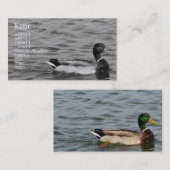 Beauful Mallard Duck Visitekaartje (Voorkant / Achterkant)