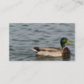 Beauful Mallard Duck Visitekaartje (Achterkant)