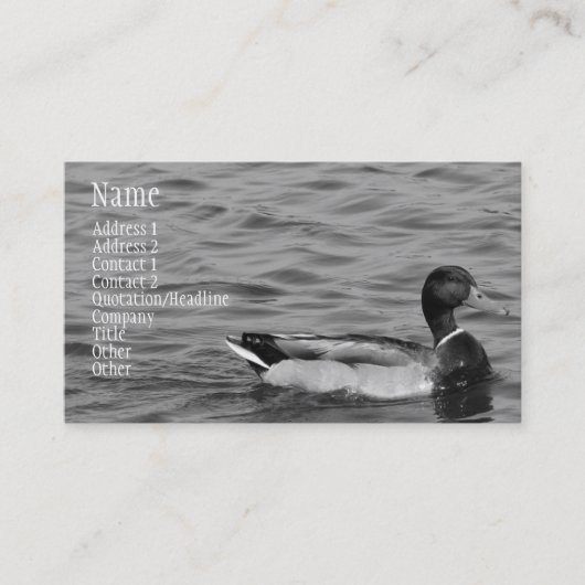 Beauful Mallard Duck Visitekaartje (Voorkant)