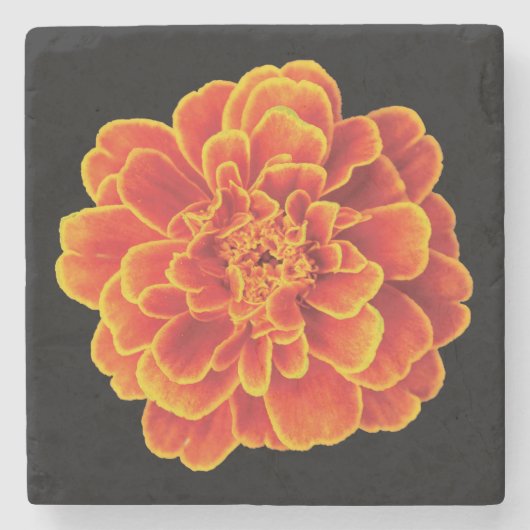 Beauful Marigold Stone Onderzetter (Voorkant)