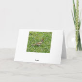 Beauful Medwest Landscape Foto Birthday Kaart (Achterkant)