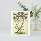 Beauful Michaelmas Daisy van NELLIE BENSON Briefkaart (Staand voorkant)