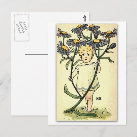 Beauful Michaelmas Daisy van NELLIE BENSON Briefkaart (Voorkant / Achterkant)