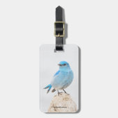 Beauful Mountain Bluebird Songbird bij Beach Bagagelabel (Voorkant verticaal)