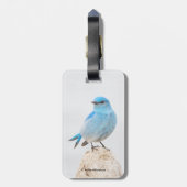 Beauful Mountain Bluebird Songbird bij Beach Bagagelabel (Achterkant verticaal)