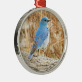 Beauful Mountain Bluebird Songbird op Log Metalen Ornament (Rechts)