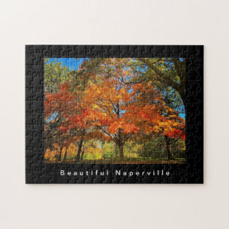 Beauful Naperville - Autumn Leaves Legpuzzel