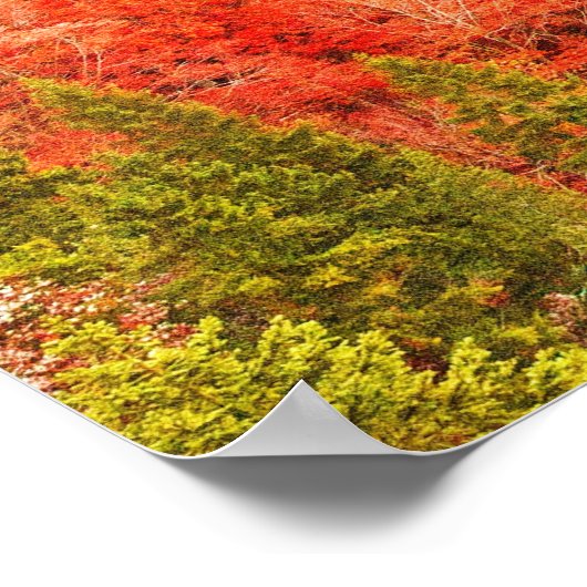 Beauful Neuschwanstein Castle, Duitsland Poster (Hoek)