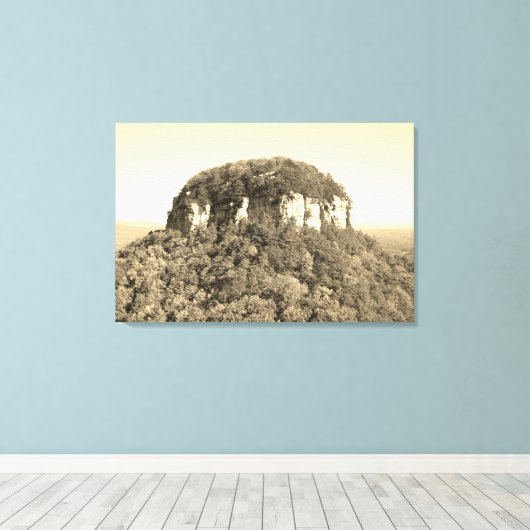 Beauful North Carolina Mountain Canvas Afdruk (Insitu (Houten vloer))