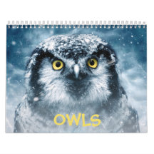 Beauful Owls Elegant Wall