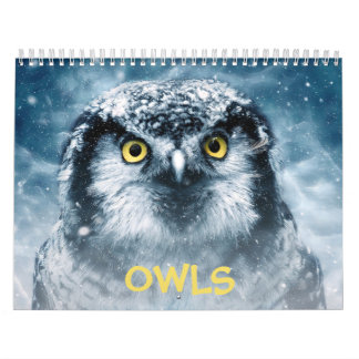 Beauful Owls Elegant Wall Kalender