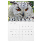 Beauful Owls Elegant Wall Kalender (Mar 2027)