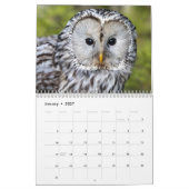 Beauful Owls Elegant Wall Kalender (Jan 2027)