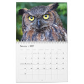 Beauful Owls Elegant Wall Kalender (Feb 2027)