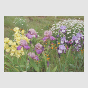 Beauful Paars Iris Flower floral Photo Tissuepapier