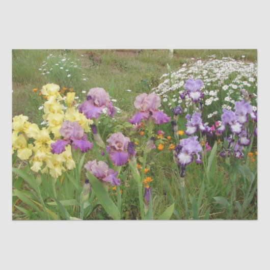 Beauful Paars Iris Flower floral Photo Tissuepapier (Voorkant)