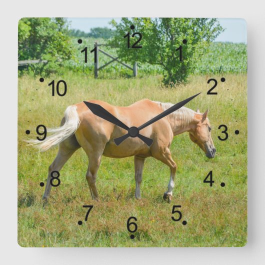 Beauful Palomino Horse Countryside Vierkante Klok (Voorkant)
