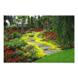 Beauful Path Park Photo Foto Afdruk