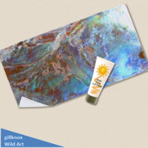 Beauful Paua Black Abalone New Zealand Shell