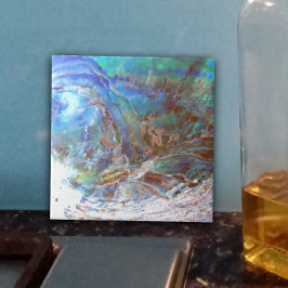 Beauful Paua Black Abalone New Zealand Shell Tegeltje