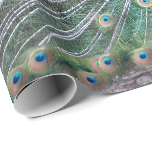 Beauful Peacock Bird Plumage Colorful Feather Cadeaupapier (Rol Hoek)