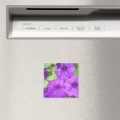 Beauful Petunia magnet (Insitu (Vaatwasser))