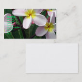 Beauful Pink and Yellow Plumeria Visitekaartje (Voorkant / Achterkant)