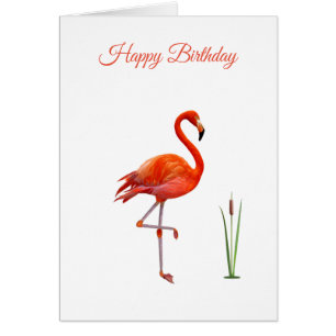 Beauful Pink Flamingo Birthday Kaart
